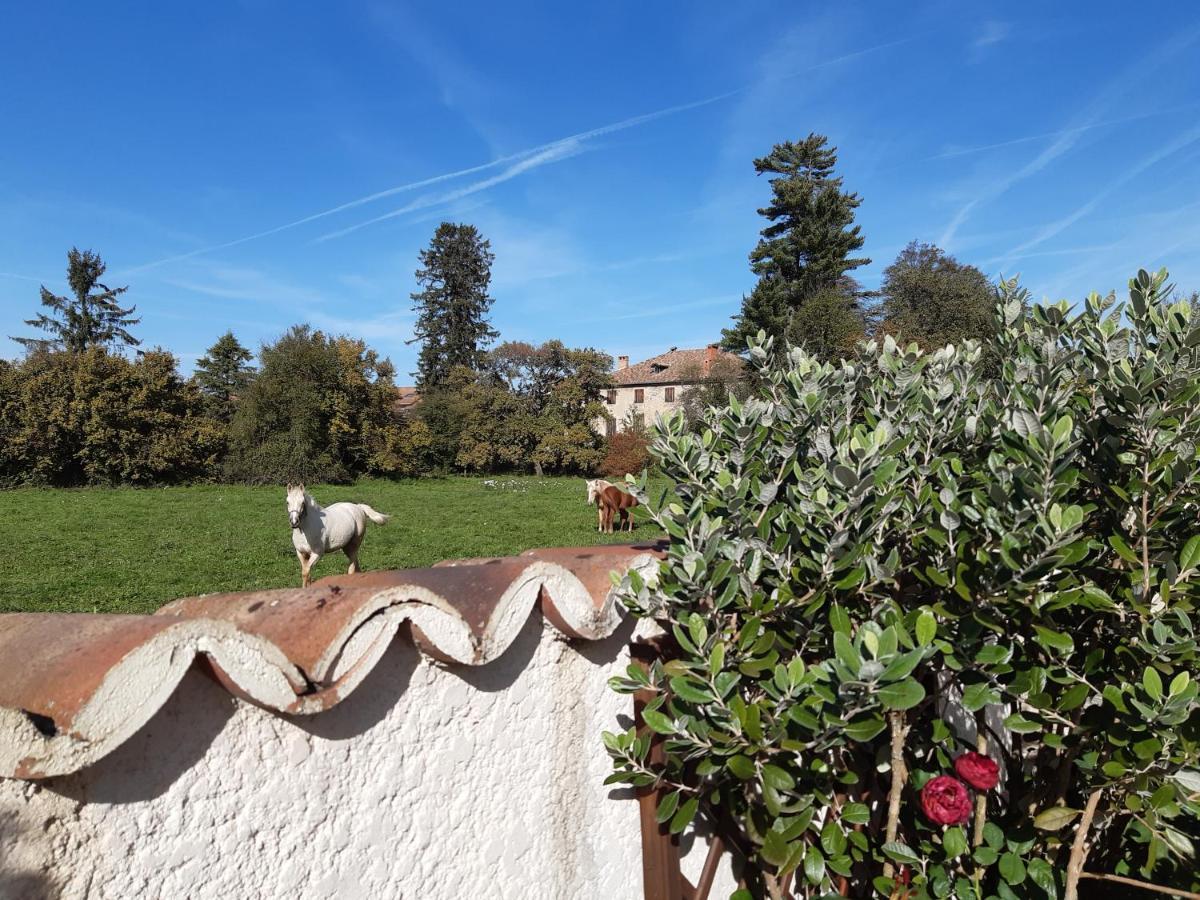Un Petit Coin De Paradis A Haute Jarrie Exterior photo